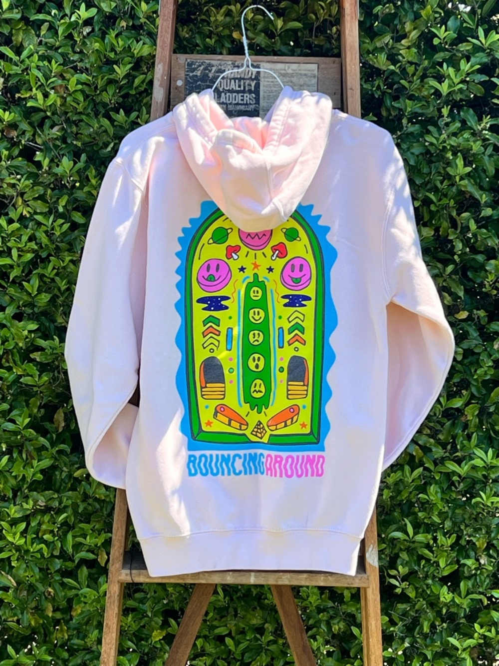 Zumiez - ALab A Lab Bouncing Around Light Pink Pullover Hoodie Adult Small - Picture 2 of 8